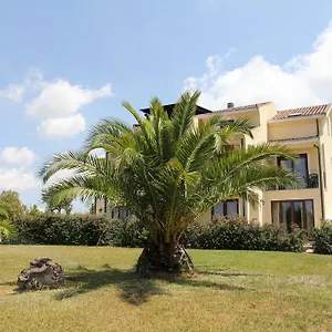 Palmas Dorada , Olmedo Italia
